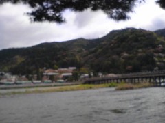 まだあるのね･･･