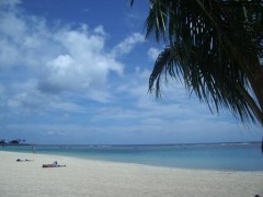 ゴールデン・ウィークかぁ･･･