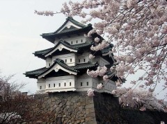 初めての飛行機