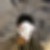 かい