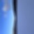 まりも