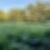 ななせ