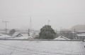 雪～