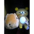 カピバラ&リラックマゲット！