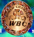ＷＢＣ