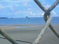 名護の海