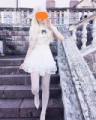 翼が見えてないだけ