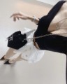 師走