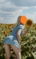 向日葵を愛でながら
