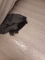 洪水