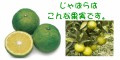 news 温泉卵 炭酸水 眠気 花粉対策
