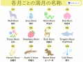 バックムーン (文章のみ裏表同文)