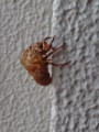 いまのままでいいのか