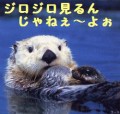 溶ける・・