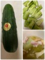 加賀太きゅうり