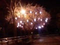 夜桜～～～
