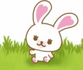 うさぎのモフィってしってる？