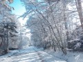 別荘の雪景色