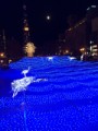 札幌ホワイトイルミネーション