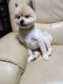 【お題日記】今の自分にキャッチコピーをつけるなら？