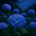 6月の日本の花