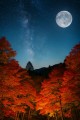 日本の四季・・・秋：夜空編
