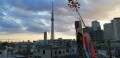 スカイツリーと、夕焼けと、鯉のぼり。