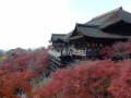 清水寺の紅葉