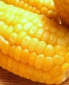 とうもろこし