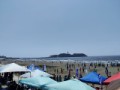 今週の江ノ島