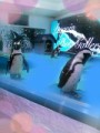 ペンギンが居るバー