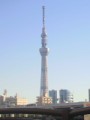 東京スカイツリー