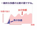 ジャンクセックスとは、男性本位の射精で終わり2012年7月20日