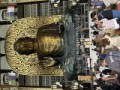 ループ自宅療養日記