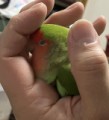 【お題日記】知らない街を散策でドキドキした経験
