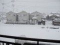 ものすごい雪ですねっ！