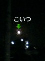 月がデカい…