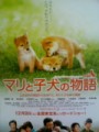 「ﾏﾘと子犬の物語」ﾚﾋﾞｭｰ☆