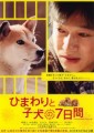 「ひまわりと子犬の7日間」ﾚﾋﾞｭｰ☆