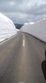 雪の回廊