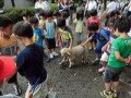 通知表のない学校