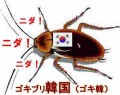 国連安保理