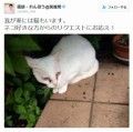 虐待をしている(｀ε´)