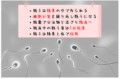 【お題日記】性欲の衰えは感じる？