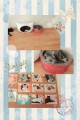 猫カフェ(*´ω｀*)