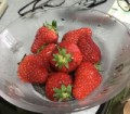 イチゴ