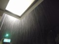 雨降り