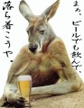 ＜史上最低な居酒屋ＢＢＳ＞ －１－実名叩きw