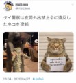 本当のワル