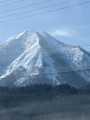 冬は寂しい